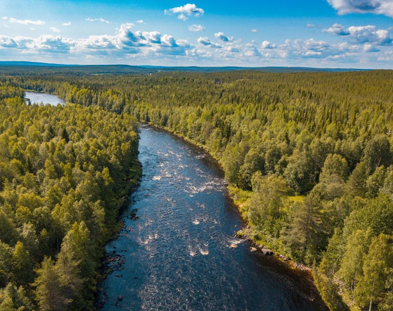 From Rovaniemi: Vikaköngäs Forest Hiking Tour - Is $123 fair for 2.5 hours?