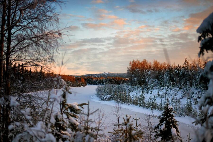From Rovaniemi: Vikaköngäs Forest Hiking Tour - What to bring and how to prepare