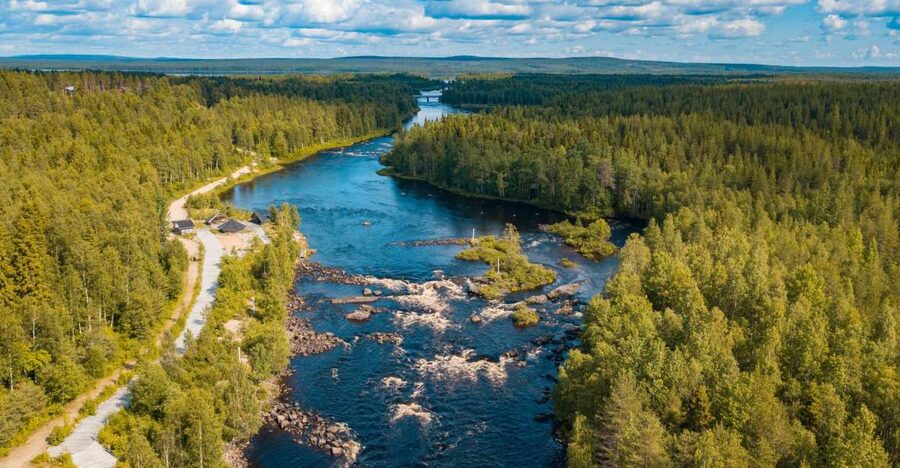 From Rovaniemi: Vikaköngäs Forest Hiking Tour - Crossing the wooden hanging bridge