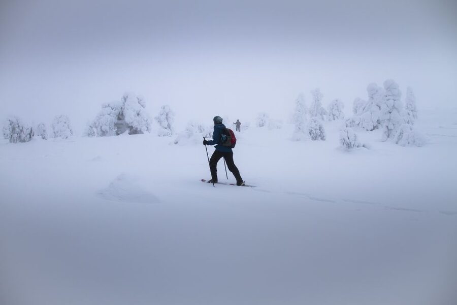 From Rovaniemi: Winter Wonderland Hike with a Hot Drink - Key points at a glance