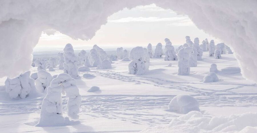 From Rovaniemi: Winter Wonderland Hike with a Hot Drink - The summit view and the price of winter scenery