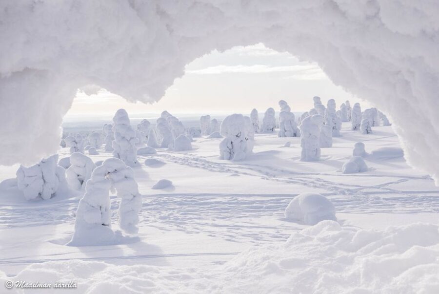 From Rovaniemi: Winter Wonderland Hike with a Hot Drink - Is $282 a fair price?