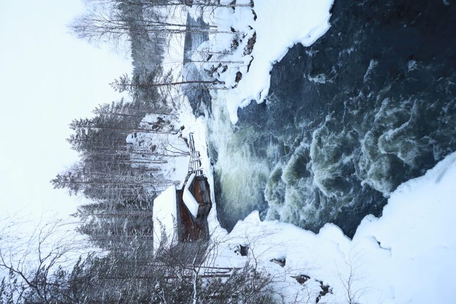 From Ruka: Snowshoeing in Oulanka National Park - Why this snowshoe walk is worth your time