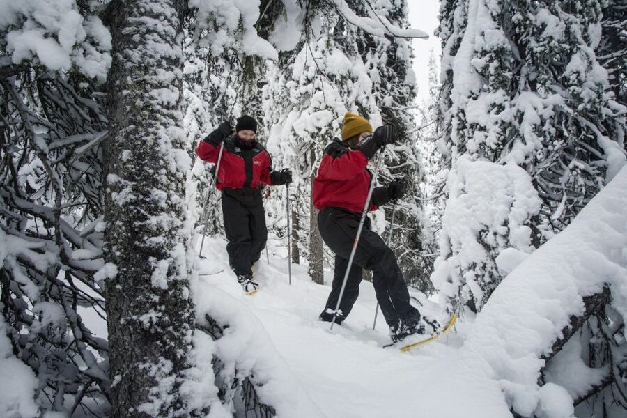 From Ruka: Snowshoeing in Oulanka National Park - Getting used to snowshoes on the Little Bear Trail