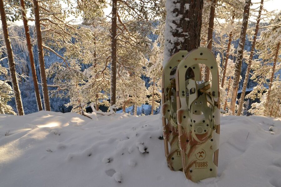 From Ruka: Snowshoeing in Riisitunturi National park - Why Riisitunturi makes a fine snowshoe destination