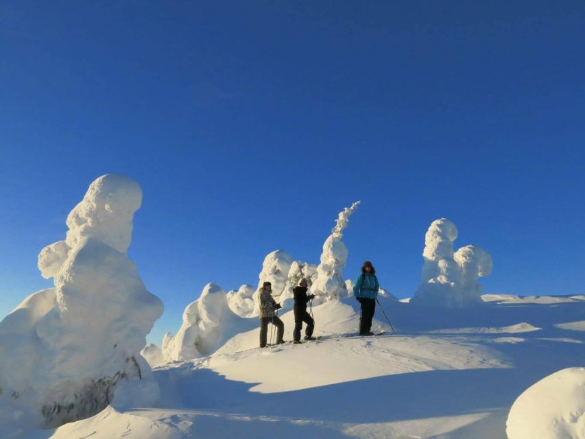 From Ruka: Snowshoeing in Riisitunturi National park - From Ruka to the trailhead in about 30 minutes