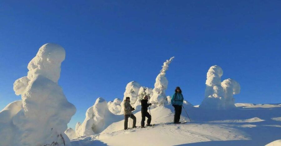 From Ruka: Snowshoeing in Riisitunturi National park - Four hours through forest and fell country