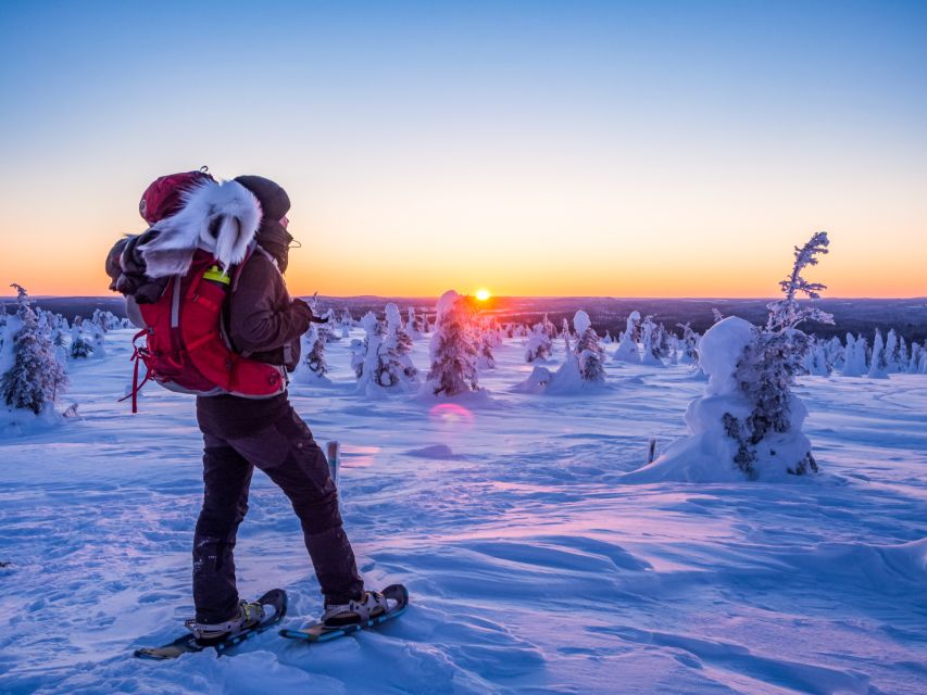 From Ruka: Snowshoeing in Riisitunturi National park - Is $174 a fair price?