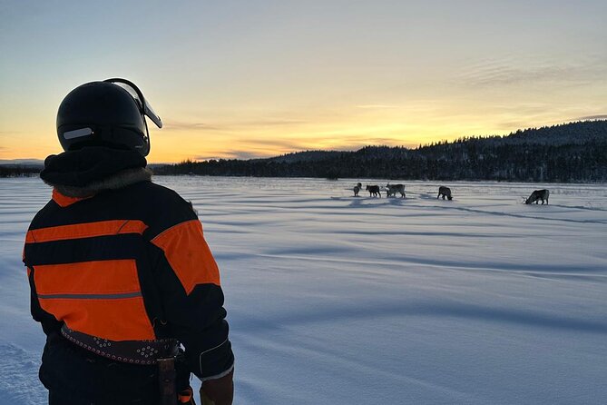 From Saariselkä: Ice Fishing Tour to Lake Inari, reindeers &lunch - What the guides add to the day