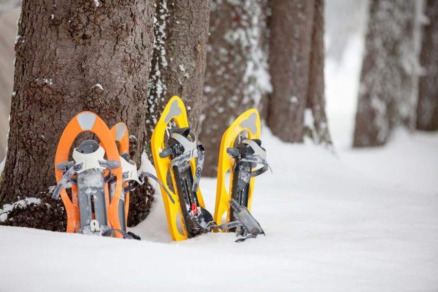 From Sirkka: Levi Summit Guided Nature Snowshoeing Tour - Key points at a glance
