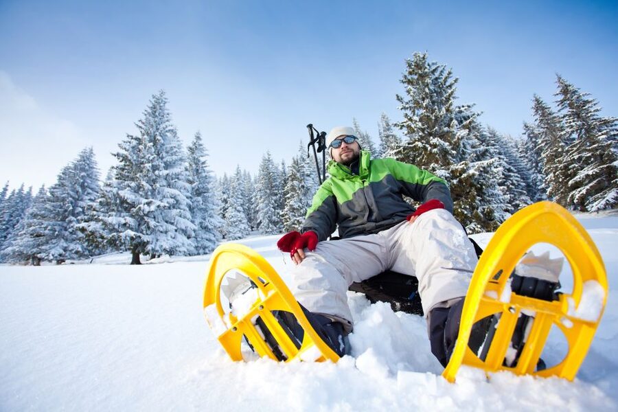 From Sirkka: Levi Summit Guided Nature Snowshoeing Tour - Learning about Lappish nature