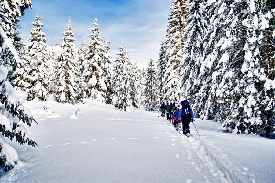 From Sirkka: Levi Summit Guided Nature Snowshoeing Tour - Getting from Sirkka to the snow