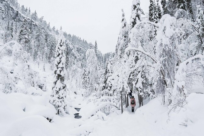 Frozen Waterfalls of Korouoma Canyon tour with Pro Photos & BBQ - The waterfall hike and canyon viewpoint