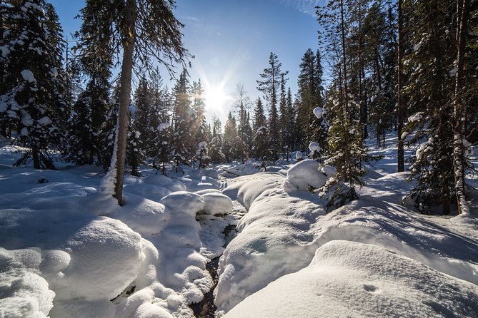 Frozen Waterfalls of Korouoma Canyon tour with Pro Photos & BBQ - A fire, BBQ, and a well-earned lunch