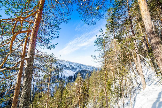 Frozen Waterfalls of Korouoma Canyon tour with Pro Photos & BBQ - Professional photos instead of nonstop camera duty