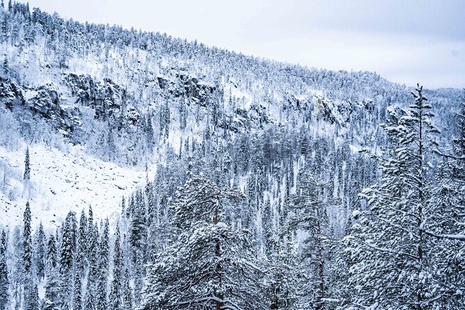 Frozen Waterfalls of Korouoma Canyon tour with Pro Photos & BBQ - Who should book this Korouoma tour?