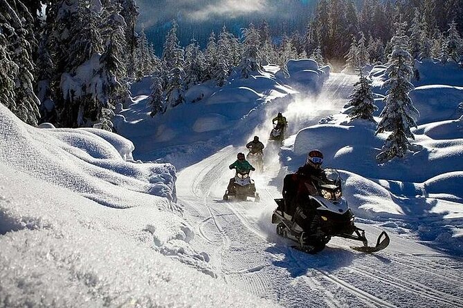 Full Day Snowmobile Safari - Six hours in Lapland, with the forest as your route