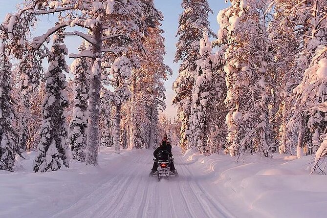 Full Day Snowmobile Safari - The shared snowmobile question