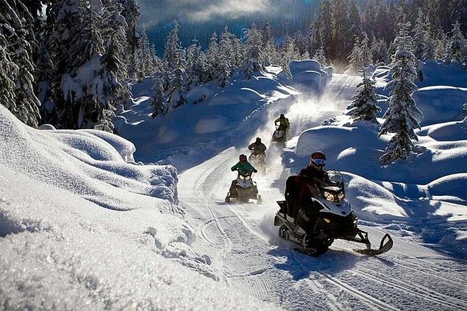 Full Day Snowmobile Safari - Rules for children and mixed-age groups