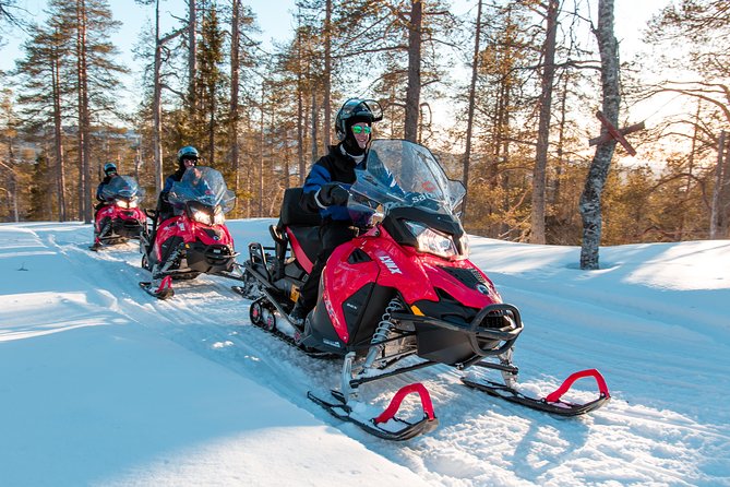 Full Day Snowmobile Safari into the Lappish Wilderness in Rovaniemi - Is $306.84 a fair price?
