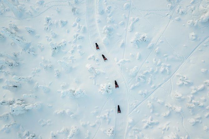 Full Day Snowmobile Safari into the Lappish Wilderness in Rovaniemi - Following quiet tracks into the frozen north