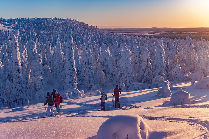 Full-Day Snowshoeing Adventure in Amethyst Mine Pyhä Luosto - Who will enjoy this day most?