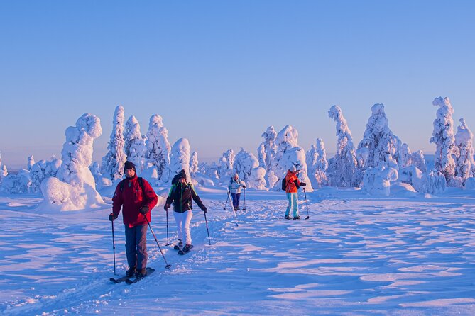 Full-Day Snowshoeing Adventure in Amethyst Mine Pyhä Luosto - Weather, group size, and cancellation details