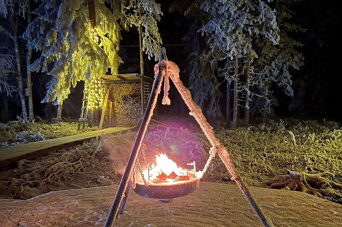 Glass Igloo Campfire Dinner under Northern Lights - Northern lights expectations in Rovaniemi