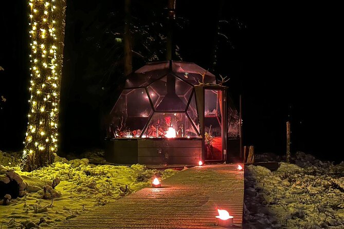 Glass Igloo Campfire Dinner under Northern Lights - Who will enjoy this most