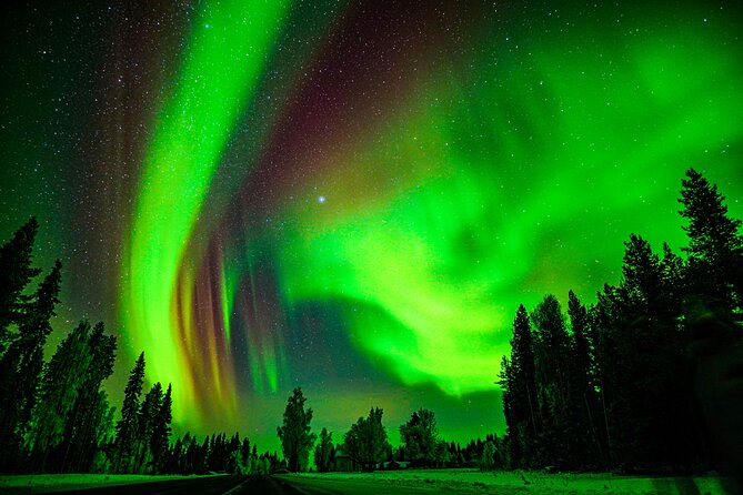 Guaranteed Northern Lights Hunting Adventure in Lapland - The photography advantage