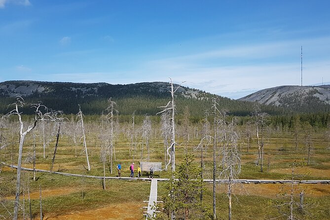 Guided easy hike in Finland deepest gorge in Pyhä-Luosto National Park - Geology, nature, and Sámi culture in one short walk