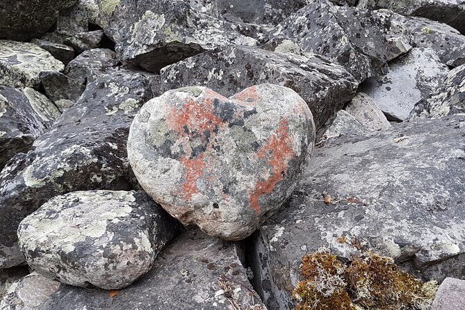 Guided easy hike in Finland deepest gorge in Pyhä-Luosto National Park - Why the included vehicle service adds value