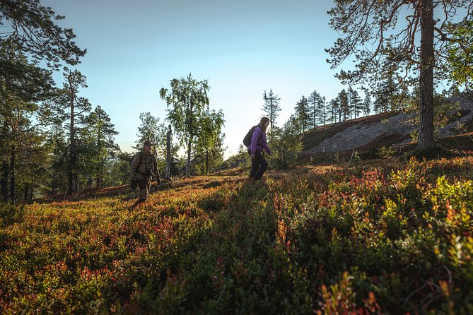 Guided easy hike in Finland deepest gorge in Pyhä-Luosto National Park - Who will get the most from this hike