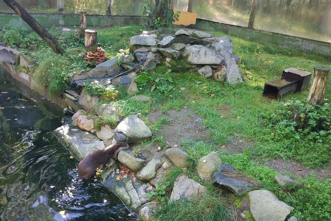 Guided Ranua Wildlife Park tour with Lunch, Small group adventure - Arctic animals and seasonal viewing