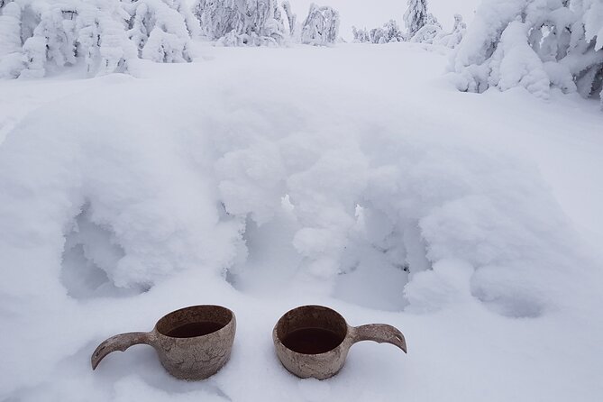 Guided reindeer farm visit and one hour sledge safari - Cold-weather planning: the detail that can make or break it