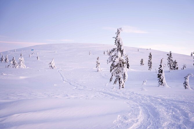 Half-Day Backcountry Skiing Tour in Levi with Photography Guide - Who will enjoy this half-day outing