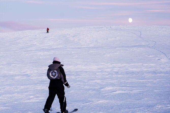 Half-Day Backcountry Skiing Tour in Levi with Photography Guide - Skiing through forests instead of following resort runs