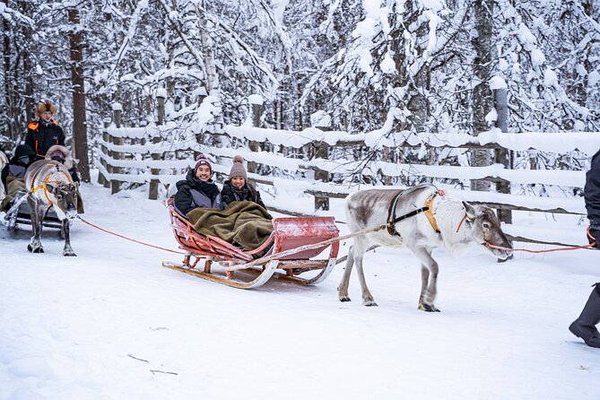 Half-Day Experience in Local reindeer farm in Lapland - From Rovaniemi to a quiet reindeer farm