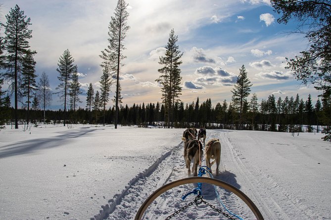Half-Day Husky Safari and Salmon Ice Fishing Experience - Switching roles makes the sled ride fairer