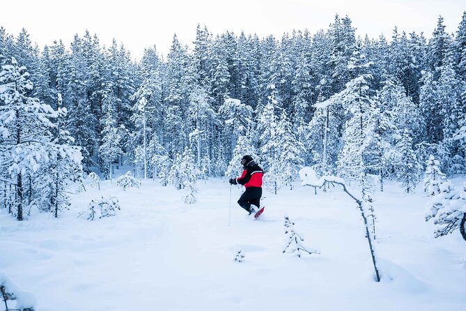 Half Day Snowshoe Hiking Adventure in Levi Lapland - What the three-hour schedule feels like