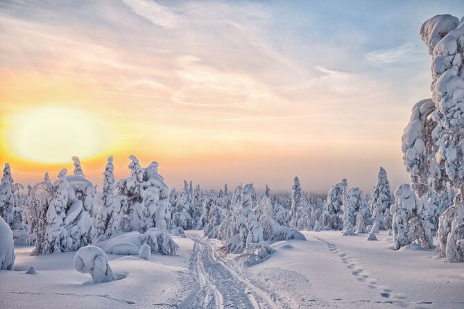 Hike to Frozen Waterfalls of Korouoma Including BBQ Lunch from Rovaniemi - What the walking difficulty really means