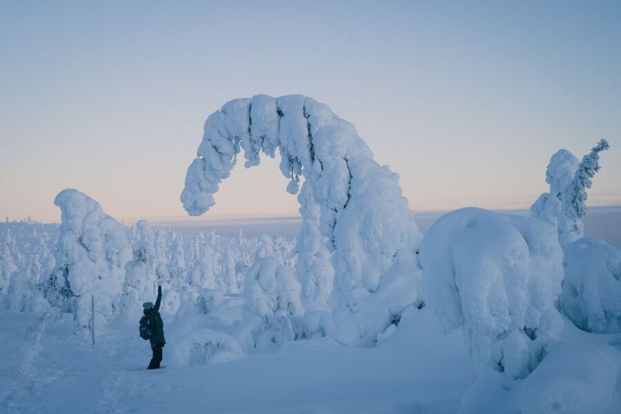 Hiking in Riisitunturi National Park with Photographer - Reaching Riisitunturi from Rovaniemi