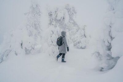 Hiking in Riisitunturi National Park with Photographer