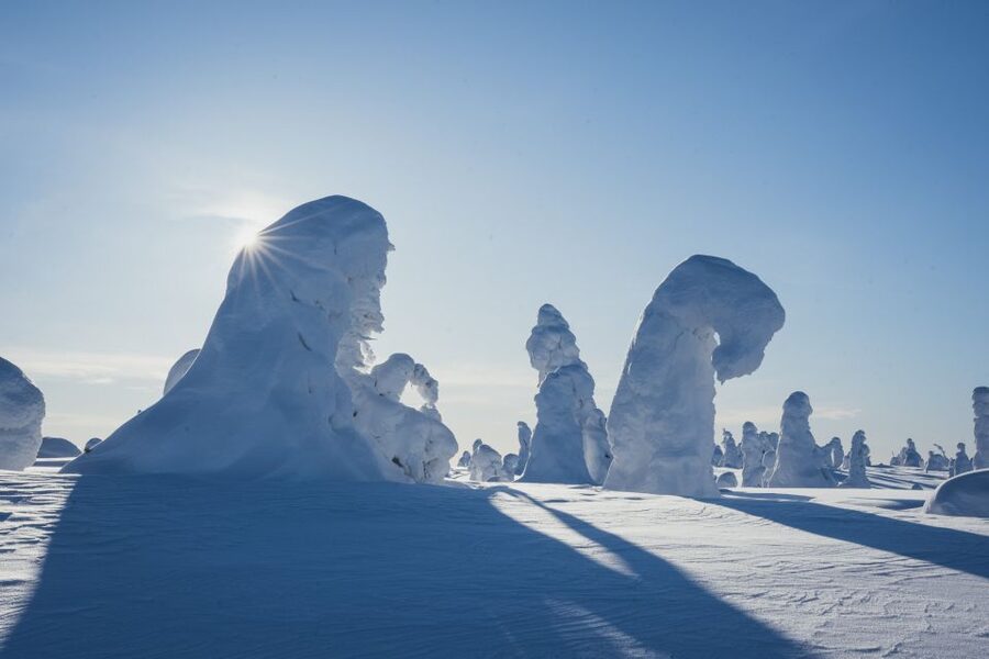 Hiking in Riisitunturi National Park with Photographer - Why the small group matters