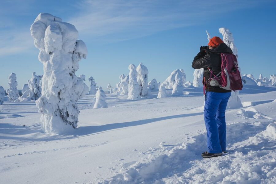 Hiking in Riisitunturi National Park with Photographer - Is $222 a fair price?
