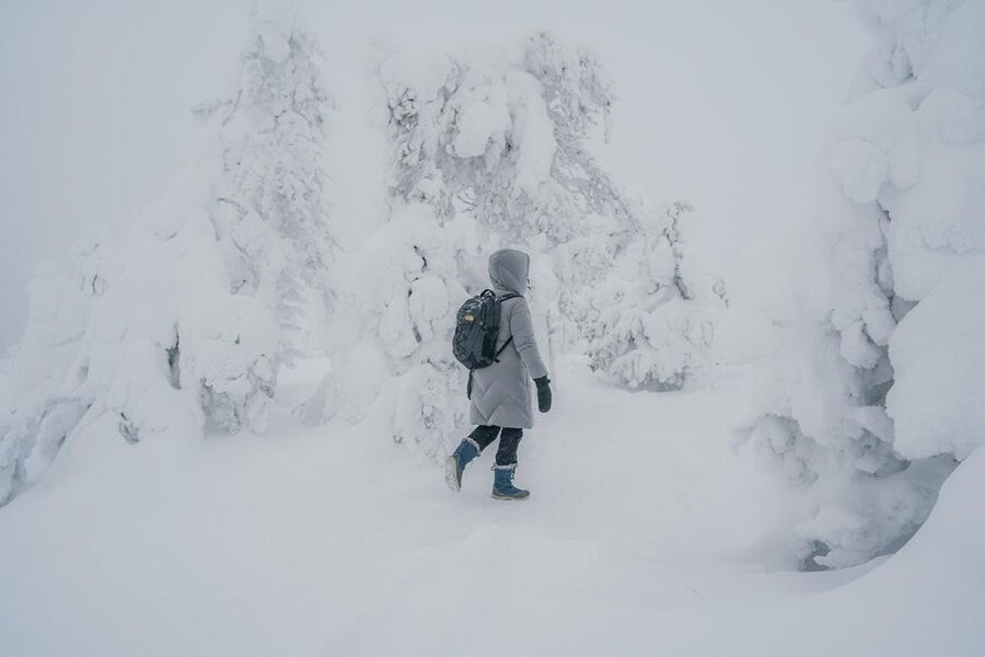 Hiking in Riisitunturi National Park with Photographer - Walking 5km through Riisitunturi’s winter woods