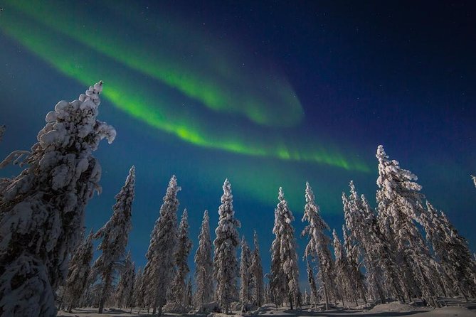 Hunting Northern Lights with Husky - What the $275.90 price really buys