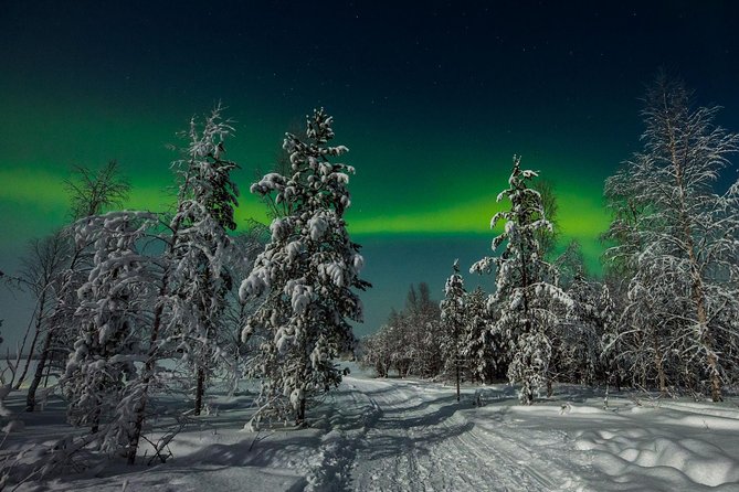 Hunting Northern Lights with Husky - What happens when conditions are poor