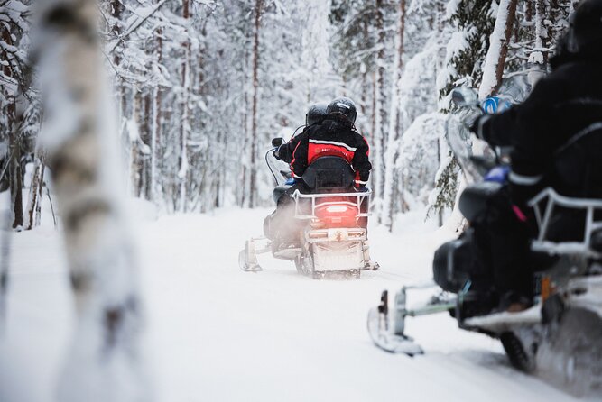 Husky and Reindeer Experience With Snowmobiling - Key points to know before you book