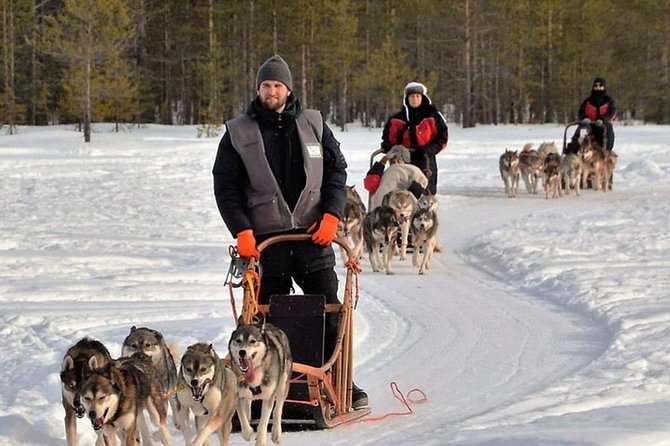 Husky Safari from Levi 2 KM or 5 KM with Husky Sledge Ride - Who will enjoy this Levi husky safari?